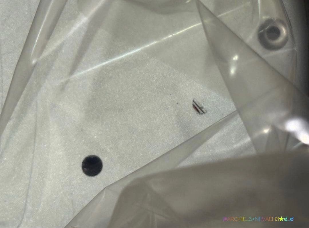 値下げ中★タミヤ メルセデスベンツCクラスDTM2004完成ボディ仕様TT-01