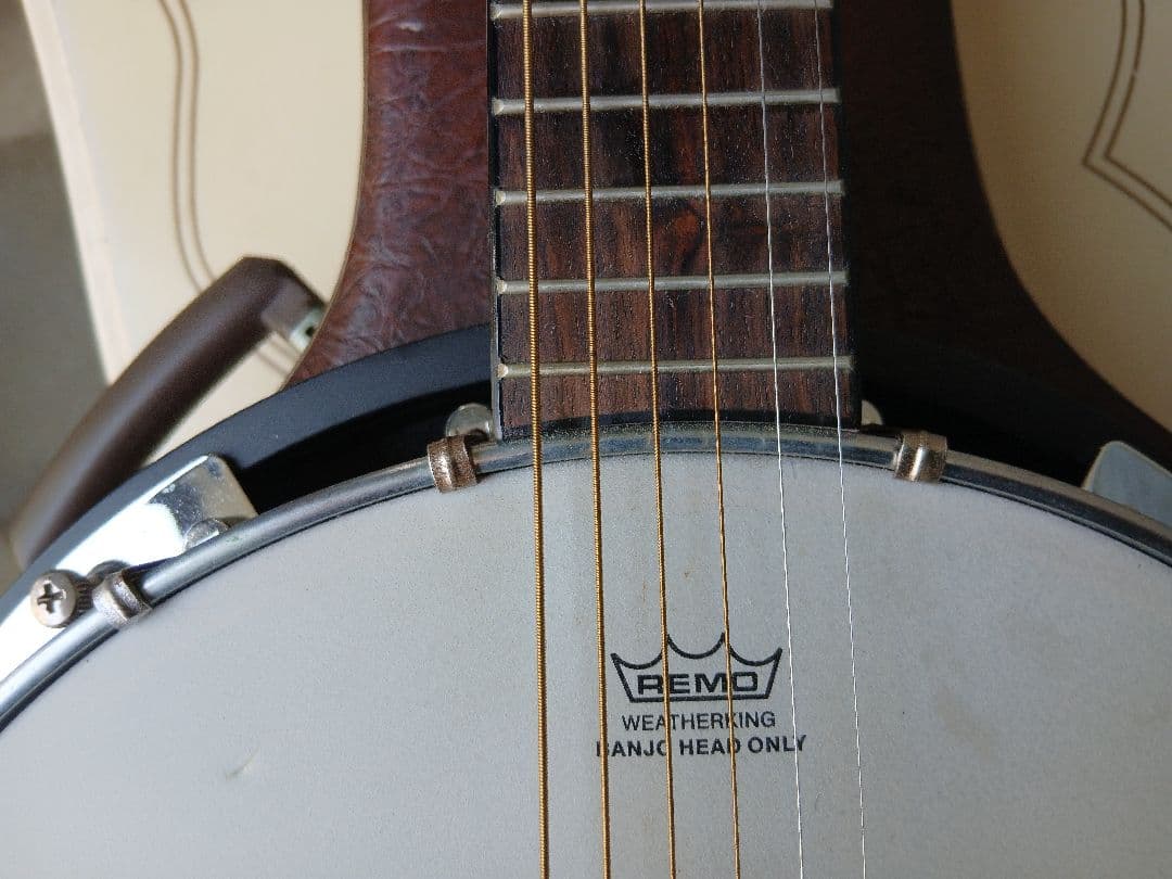 Blanton.BB15G.6Stringsバンジョー6弦(ハードケース付)