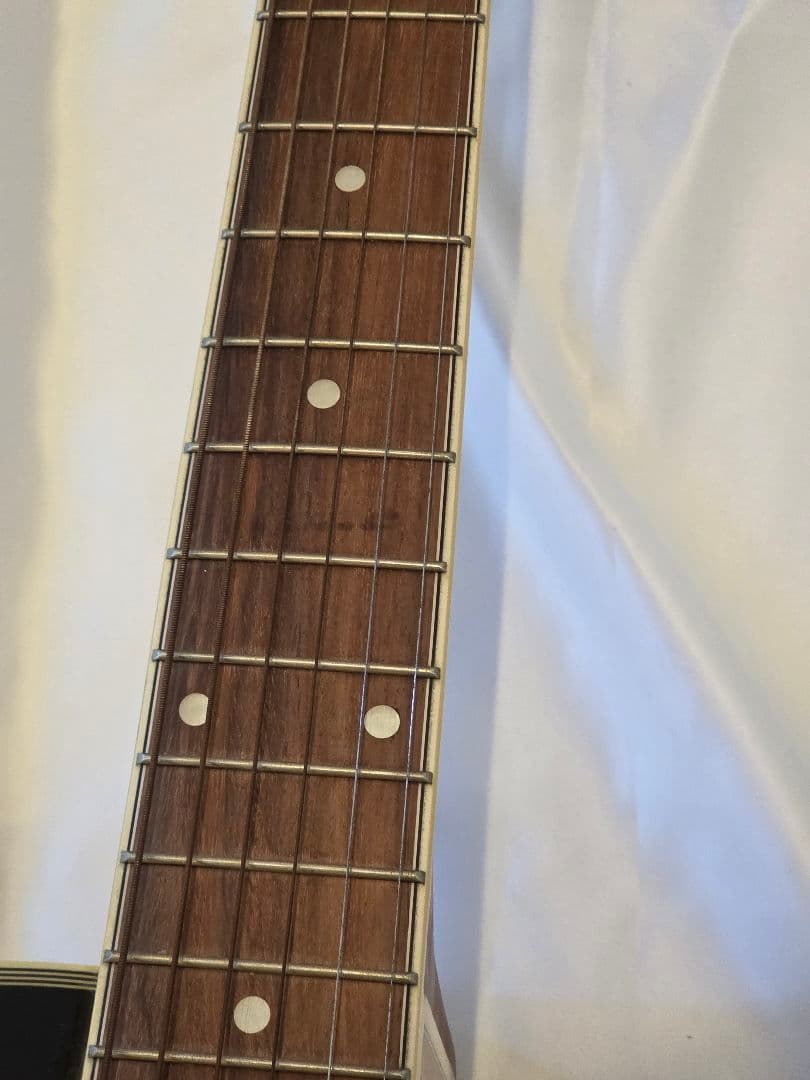 ARIA エレアコ　Elecord FET-STDRS