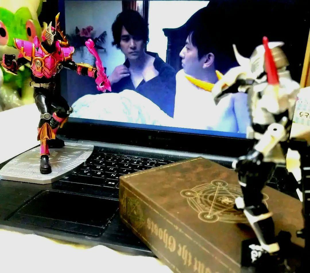 ARTWORKS 仮面ライダー 龍騎 ライアサバイブ