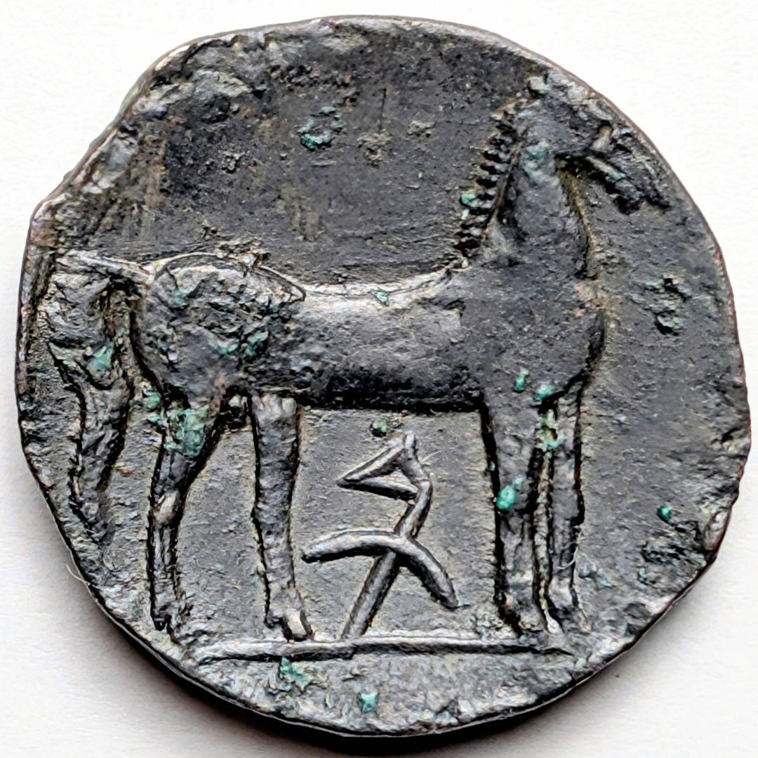 TKC129 カルタゴのタニトと馬