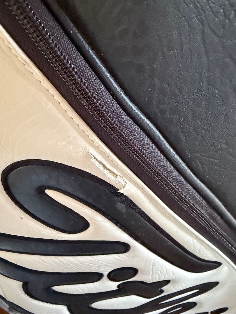 日本未発売　タイトリスト　スタッフバッグ　9.5