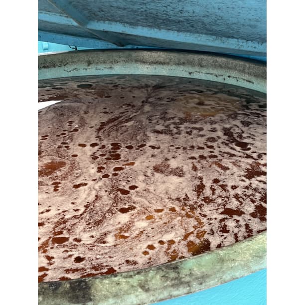 価格高騰！農家直送！紀州南高梅 樽 5000g 無添加 和歌山 紀州 白梅