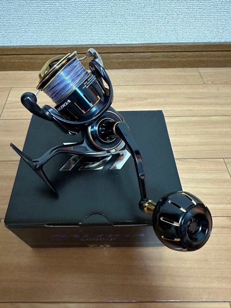 ダイワ　23ソルティガ 6000-P