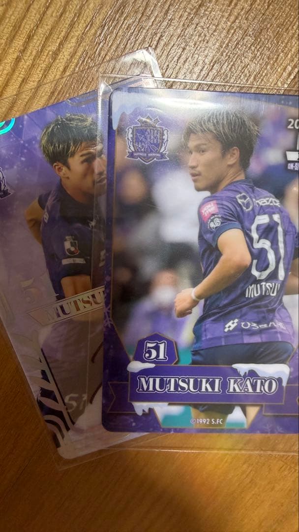 サンフレッチェ広島