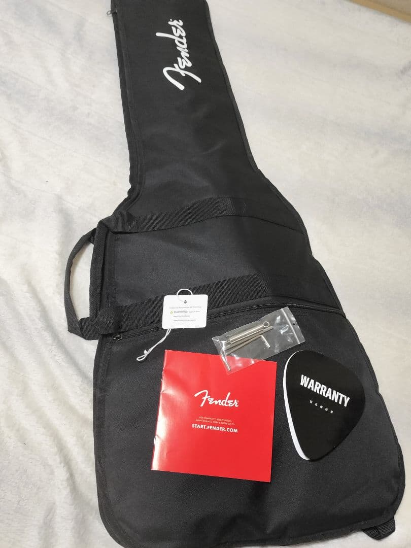 Fender Standard Stratocasterフェンダー ストラト 青