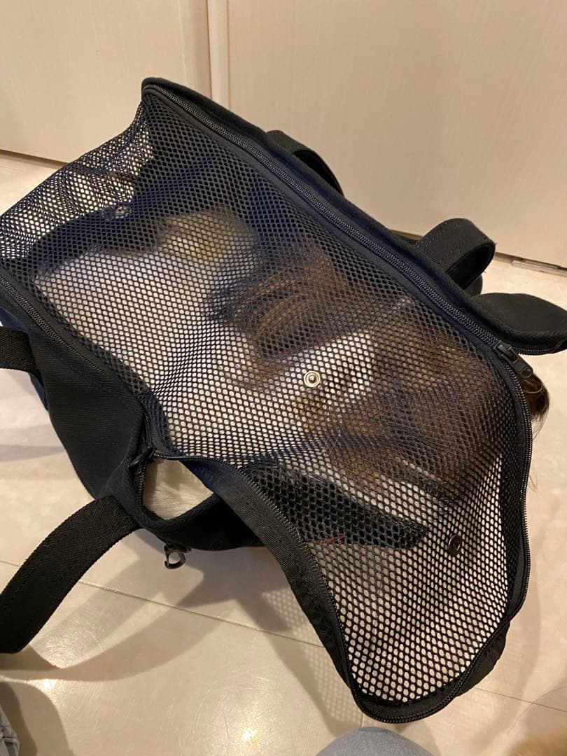 【フリーステッチ・Free Stitch】小型犬用のキャリーバッグ Mサイズ