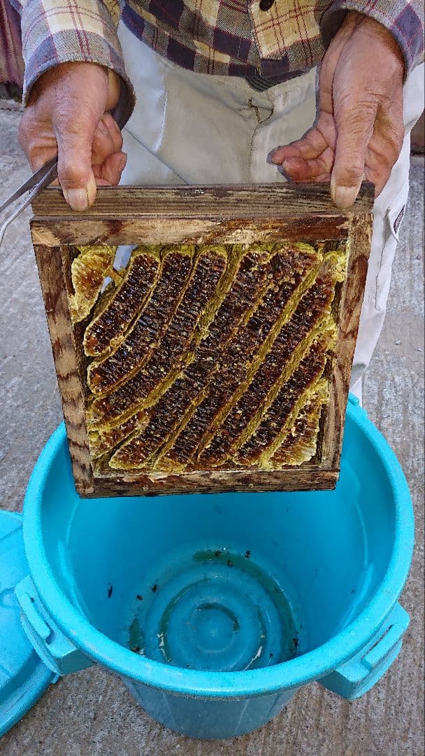 日本はちみつ600g×2本