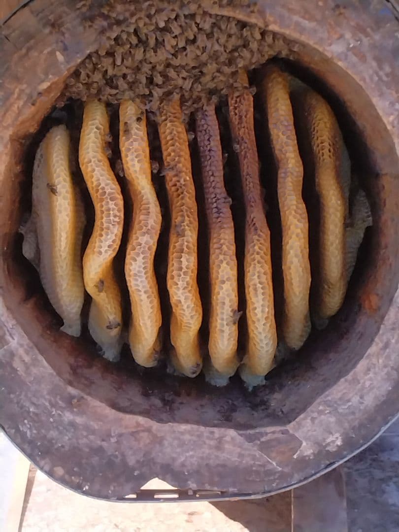 日本はちみつ600g×2本