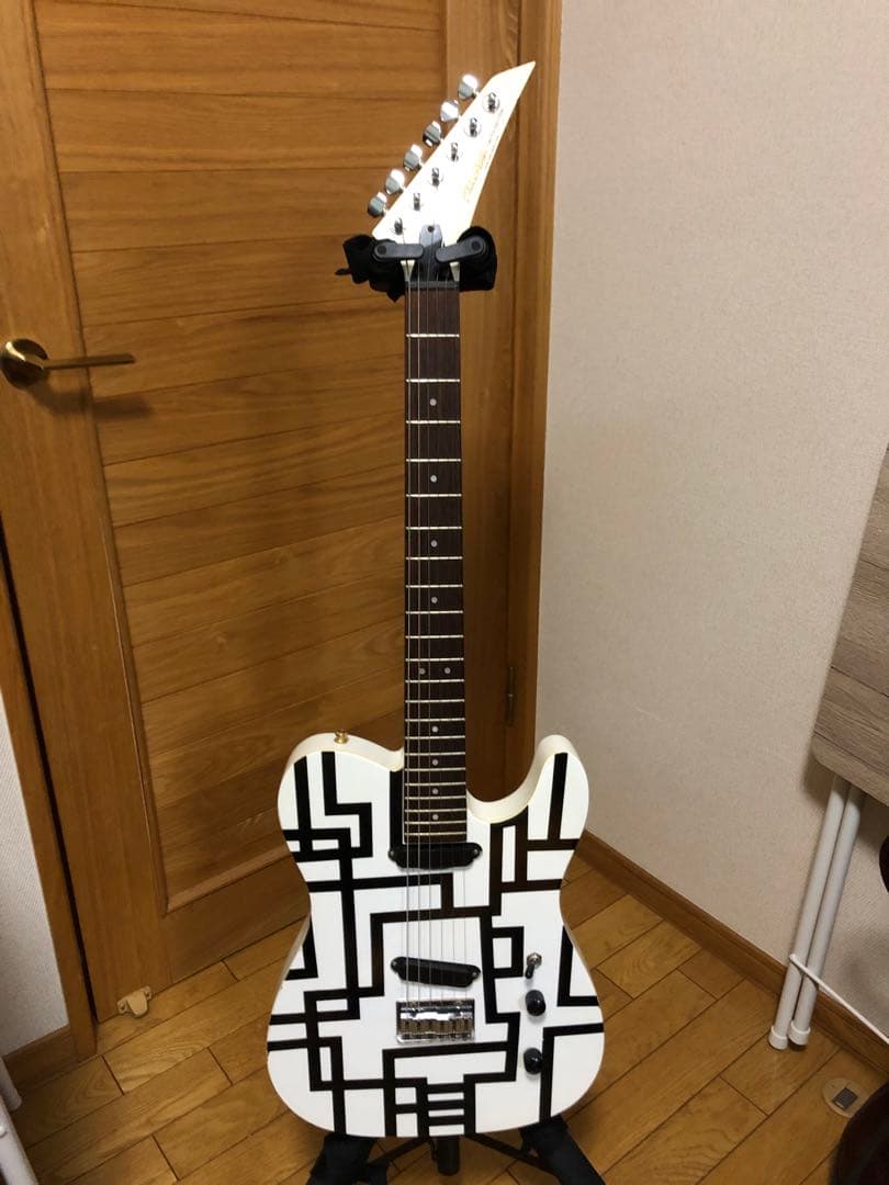 FERNANDES エレキギター LIMITED EDITION