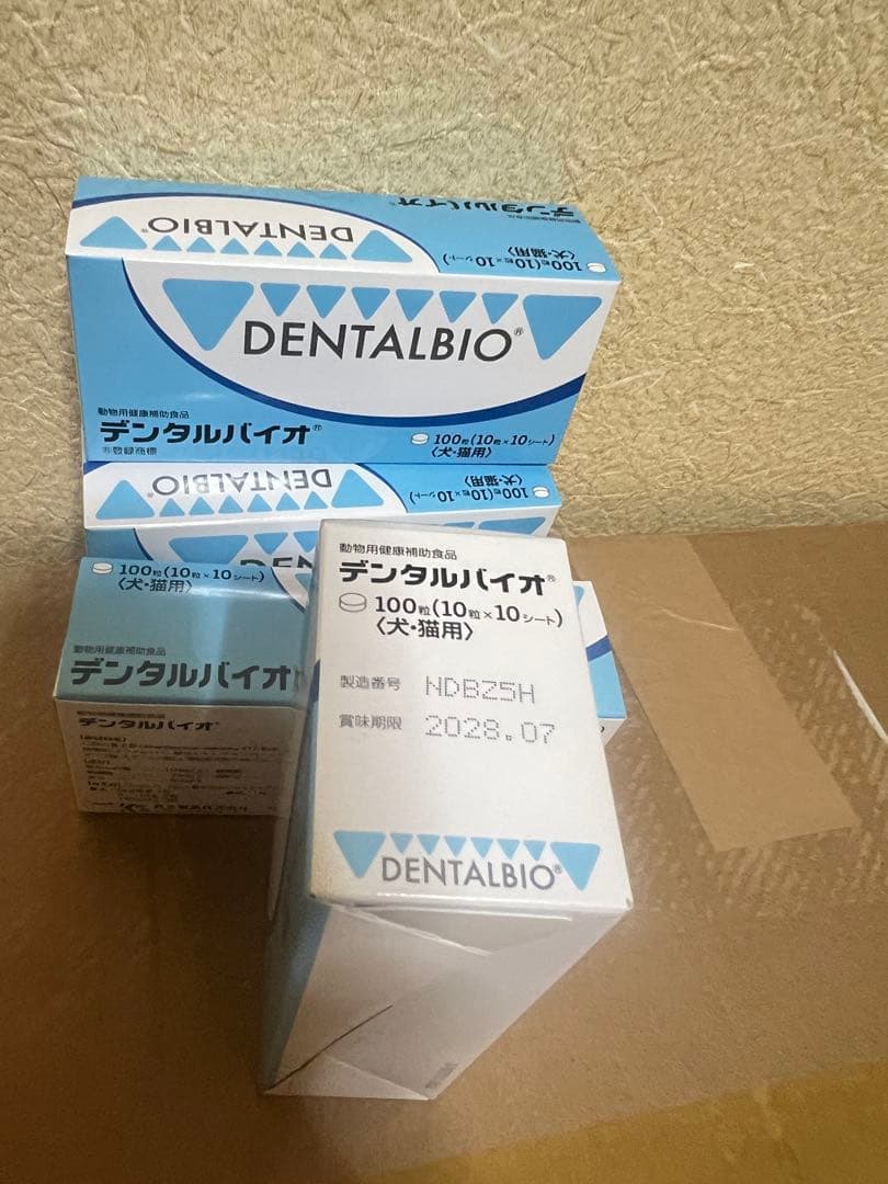 共立製薬 デンタルバイオ 10粒×10シート 4つ