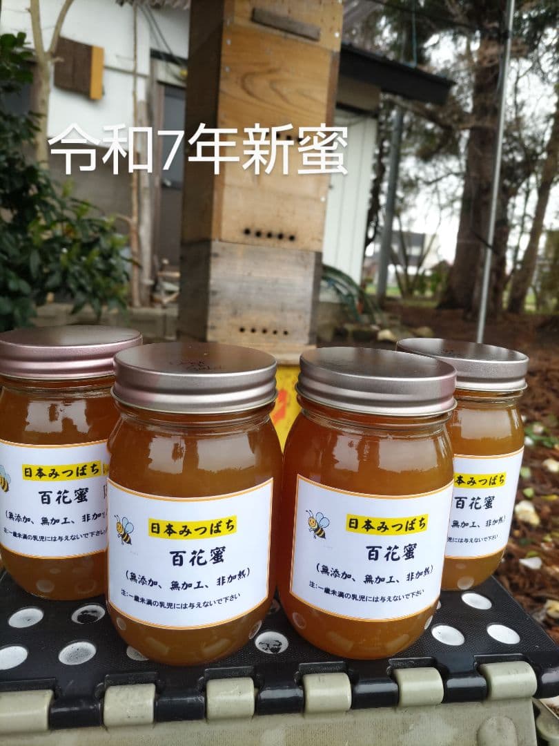 新蜜　日本ミツバチの百花蜜（１年物）㊶　550ｇ✕4本（2.2Kｇ）