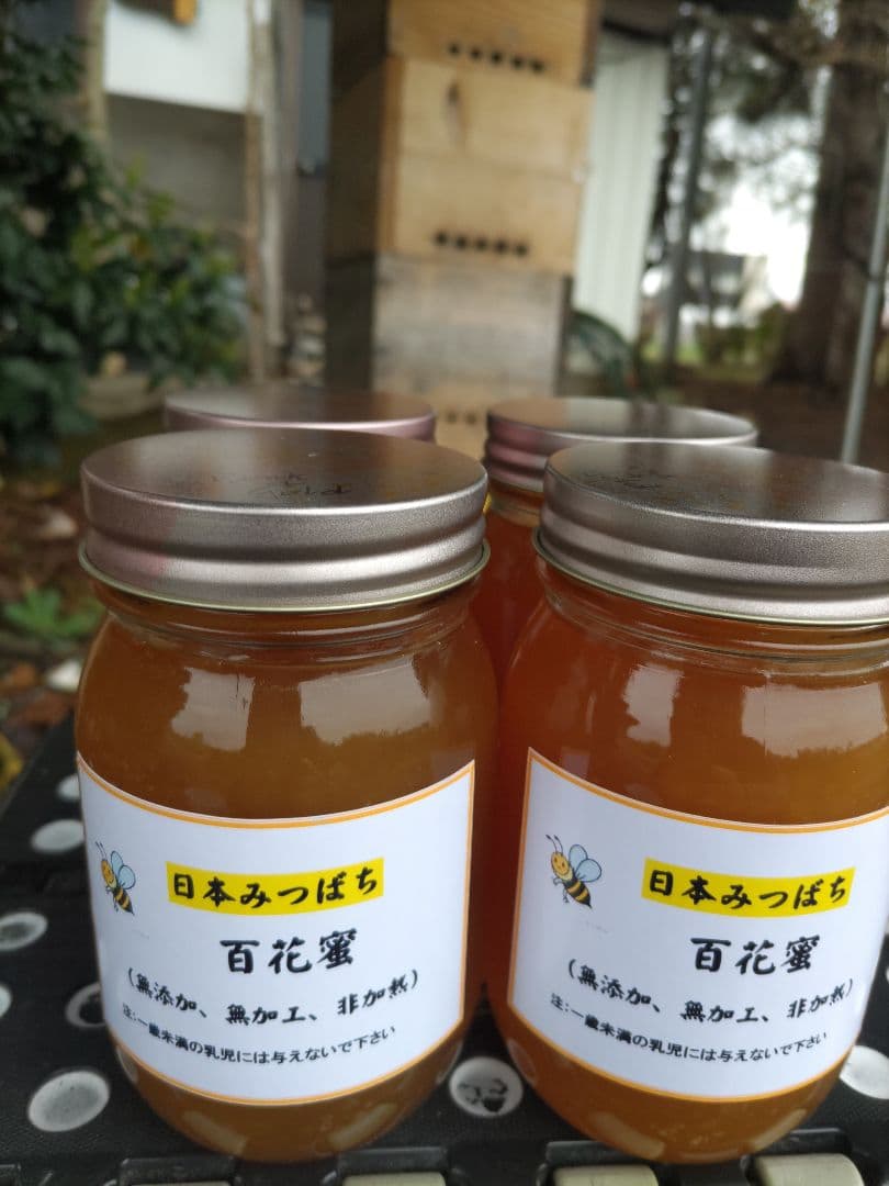 新蜜　日本ミツバチの百花蜜（１年物）㊶　550ｇ✕4本（2.2Kｇ）