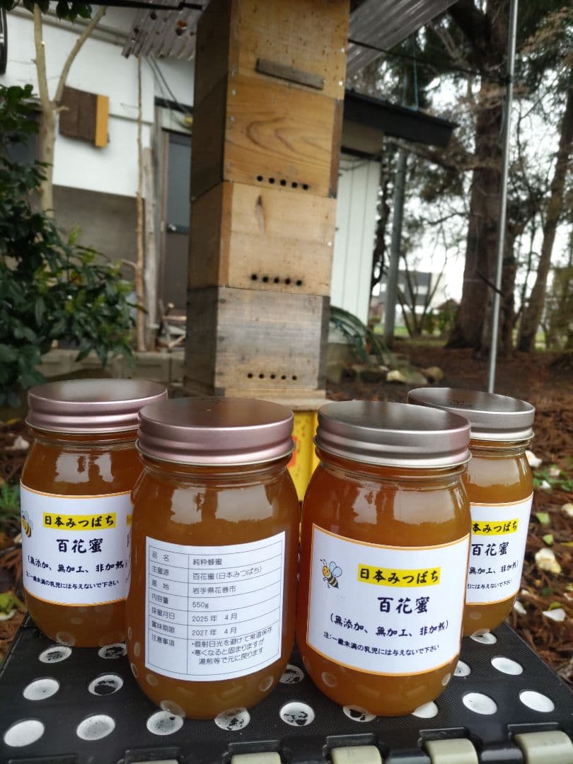 新蜜　日本ミツバチの百花蜜（１年物）㊶　550ｇ✕4本（2.2Kｇ）