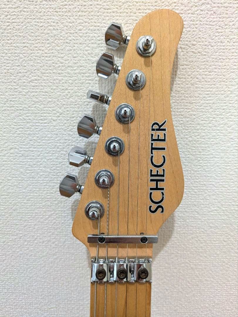 [美品] SCHECTER NV-DX-24-AS　D-tunaつき