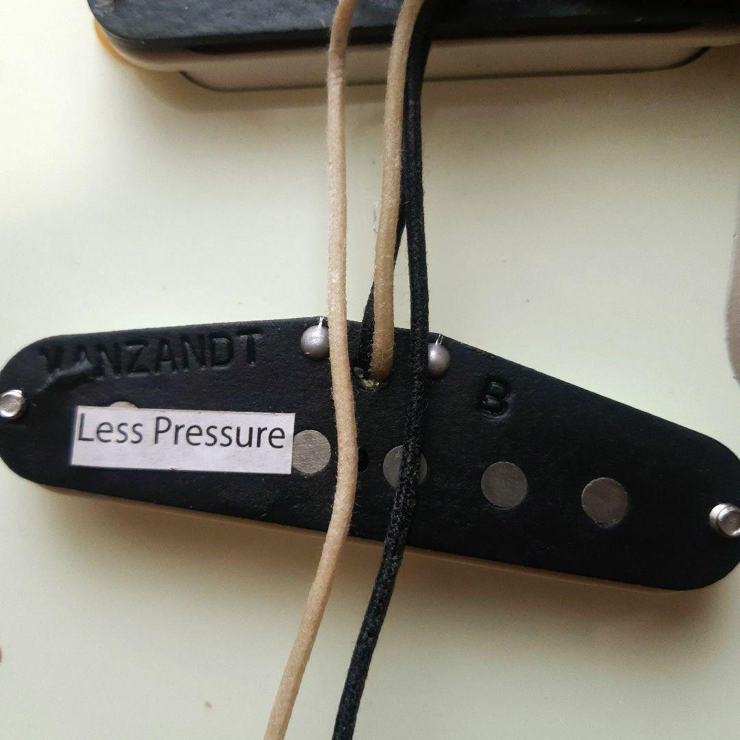 Vanzandt STV-R2 マダガスカルローズ指板！