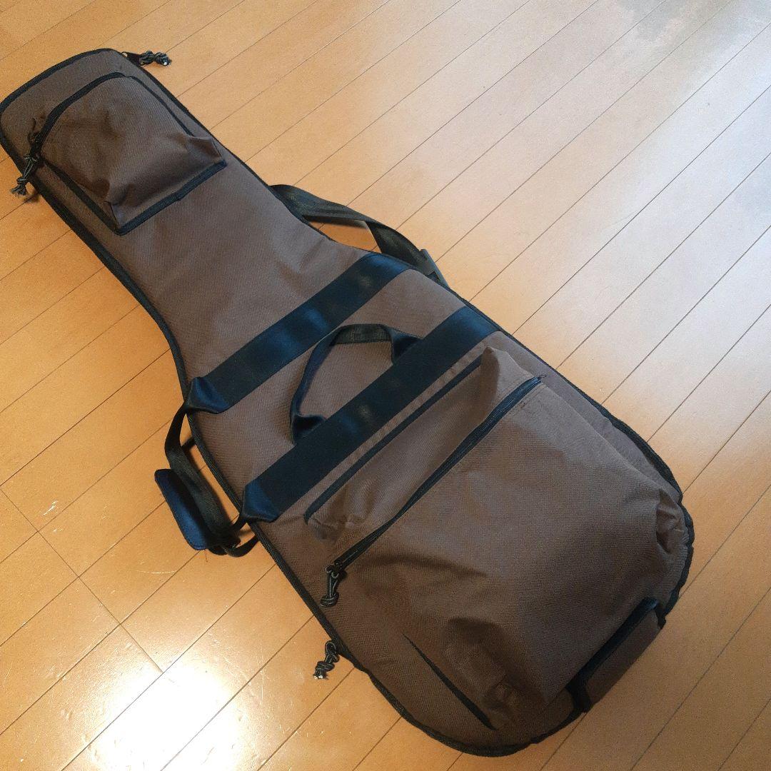 Vanzandt STV-R2 マダガスカルローズ指板！