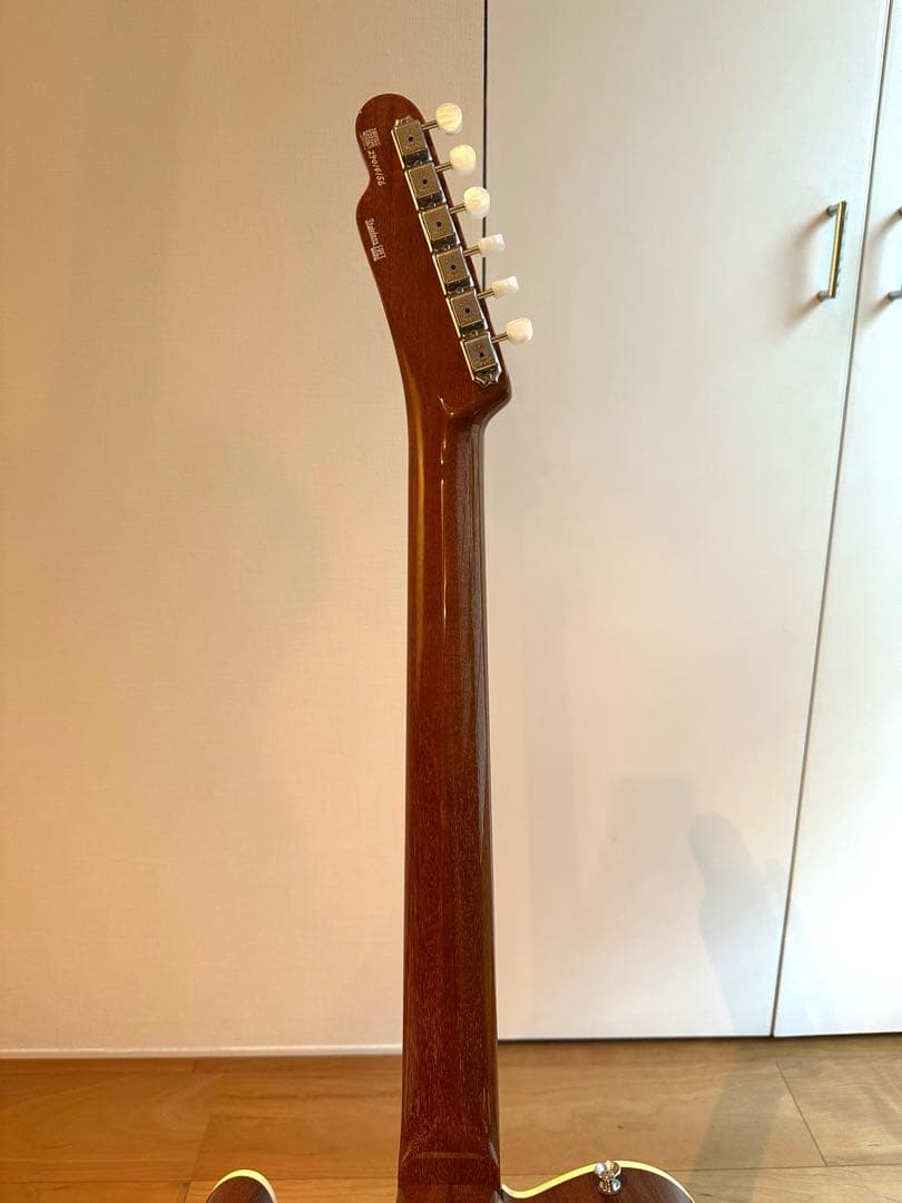 ギター FREEDOM / TE Green Pepper