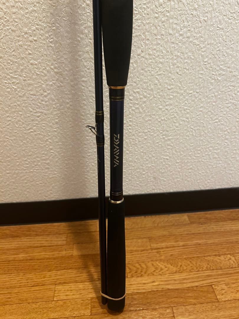 剣崎60-270MT ショアジギングロッド