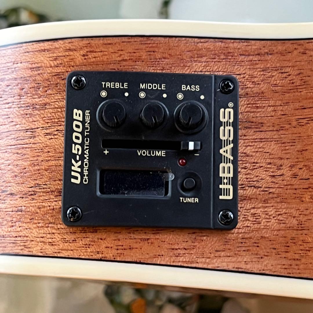 新品 調整済 KALA ウクレレベース UBASS-JYMNFS