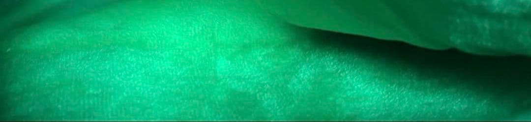 カリスマ 本橋依央利 痛バッグ WEGO コラボ