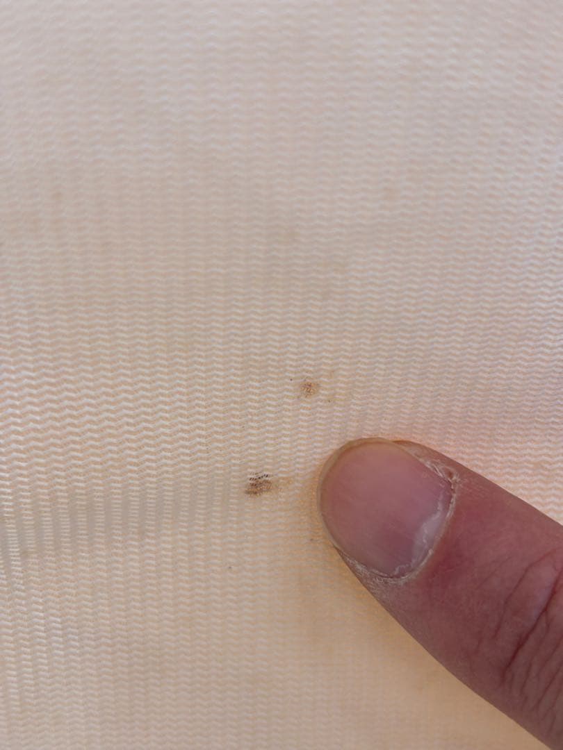 memes'more Bello400（専用グランドシート付き）