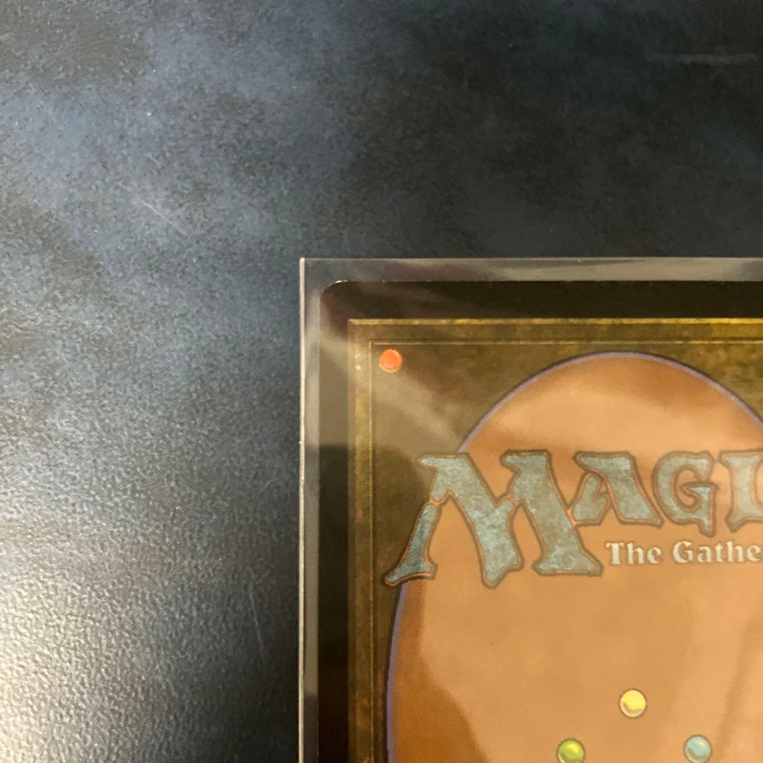 セラの聖域 伝説の土地 日本語版　MTG マジックザギャザリング