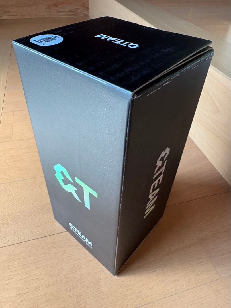 &TEAM ペンライト lightstick 公式 /MEMORIES セット