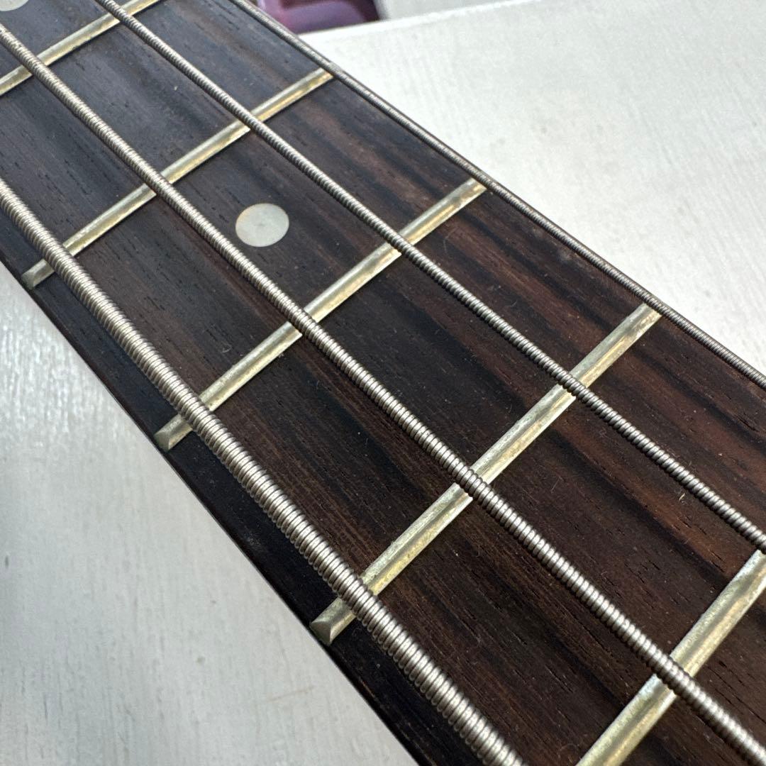 【E209】Pignose ピグノーズ　USA エレキギター　ケース付き