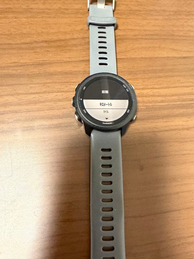 Garmin ガーミン245