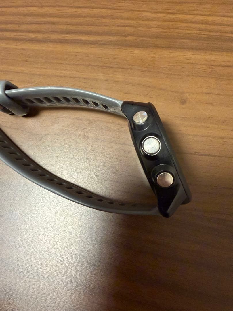 Garmin ガーミン245