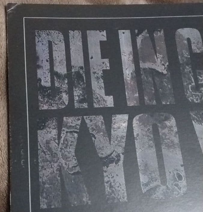 ミュージシャン DIE IN CRIES