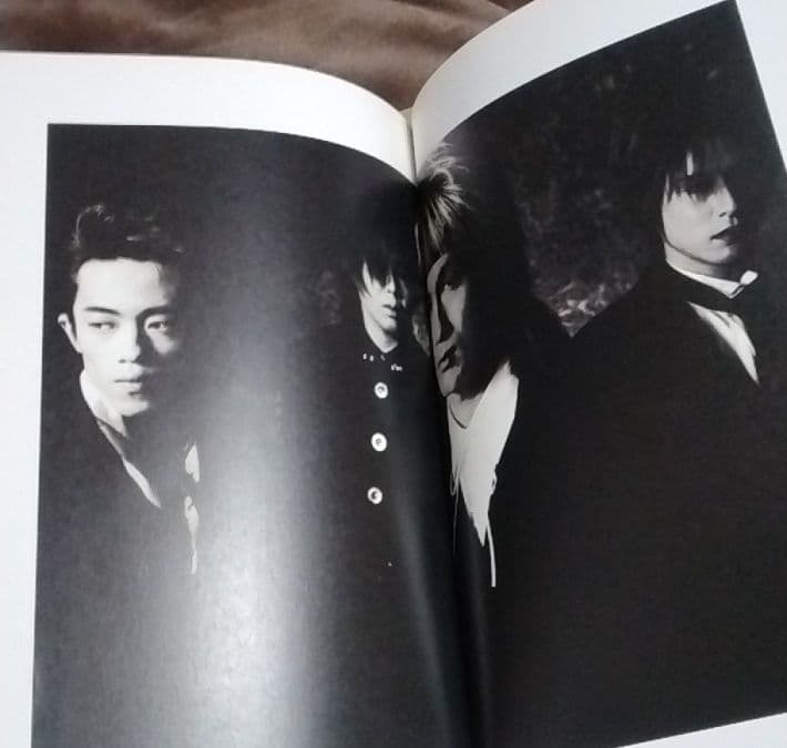 ミュージシャン DIE IN CRIES