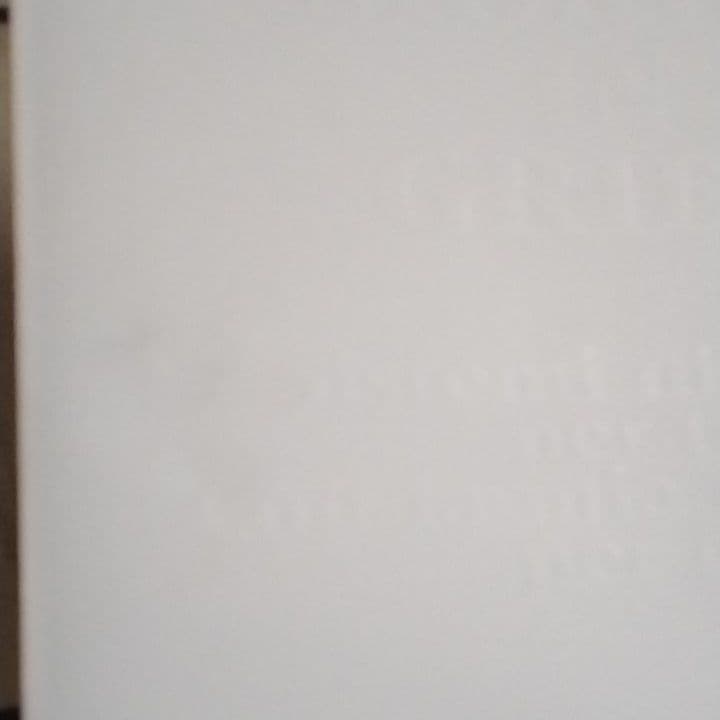 ミュージシャン DIE IN CRIES