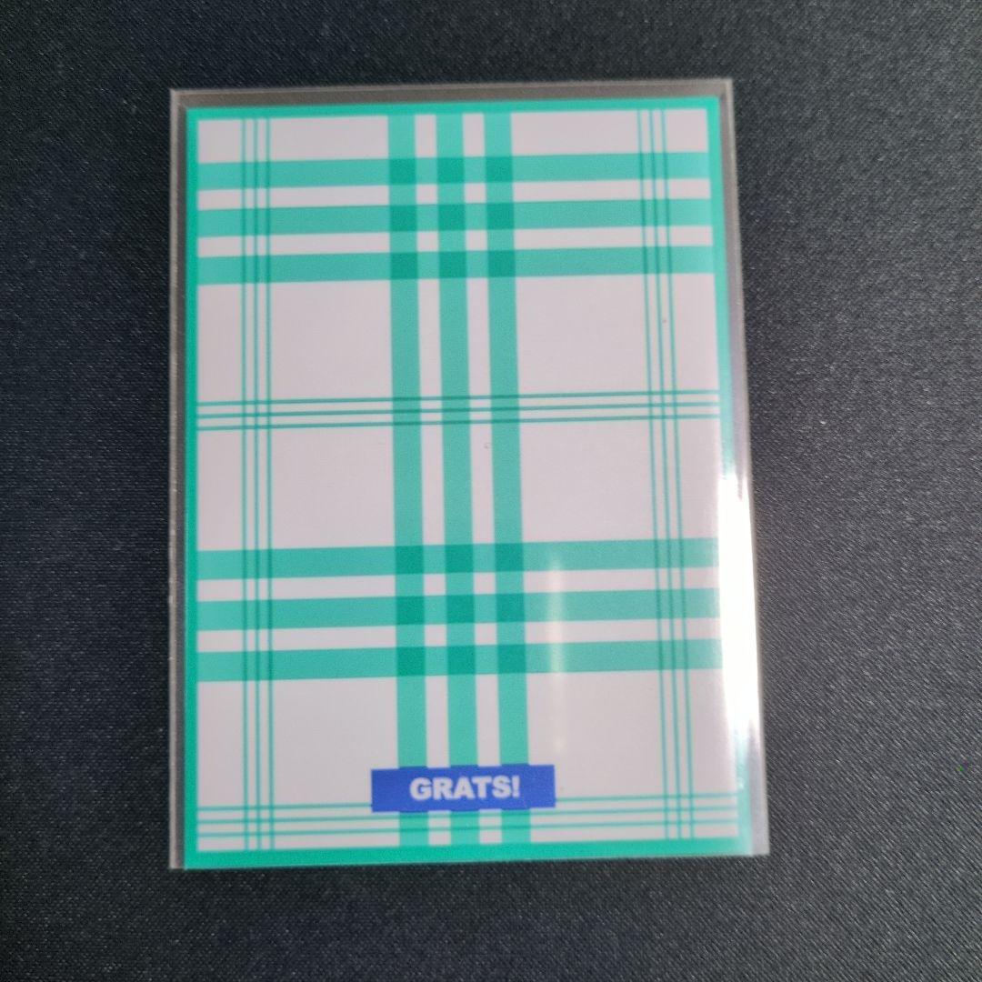 リースボルシャック (スリーブ付き)