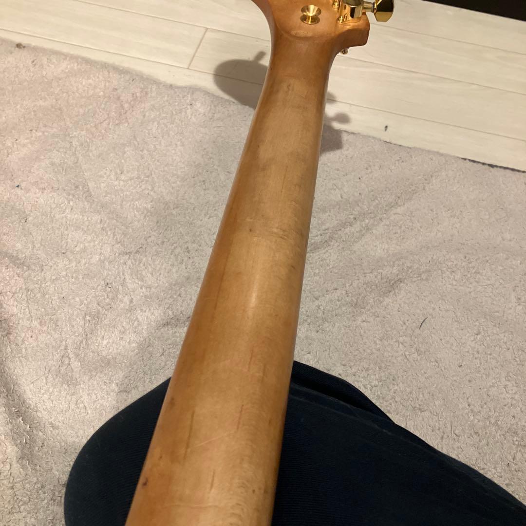 フェルナンデス　zo-3芸達者 グリーン