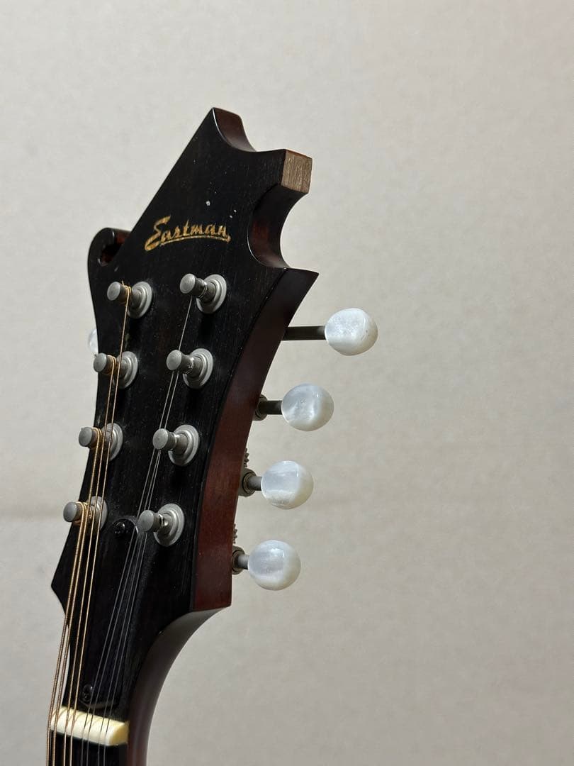 弦楽器 Eastman MD315/Antique Red