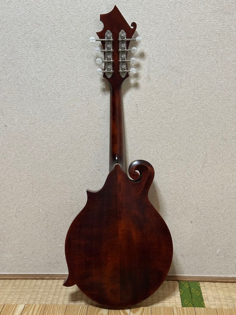 弦楽器 Eastman MD315/Antique Red