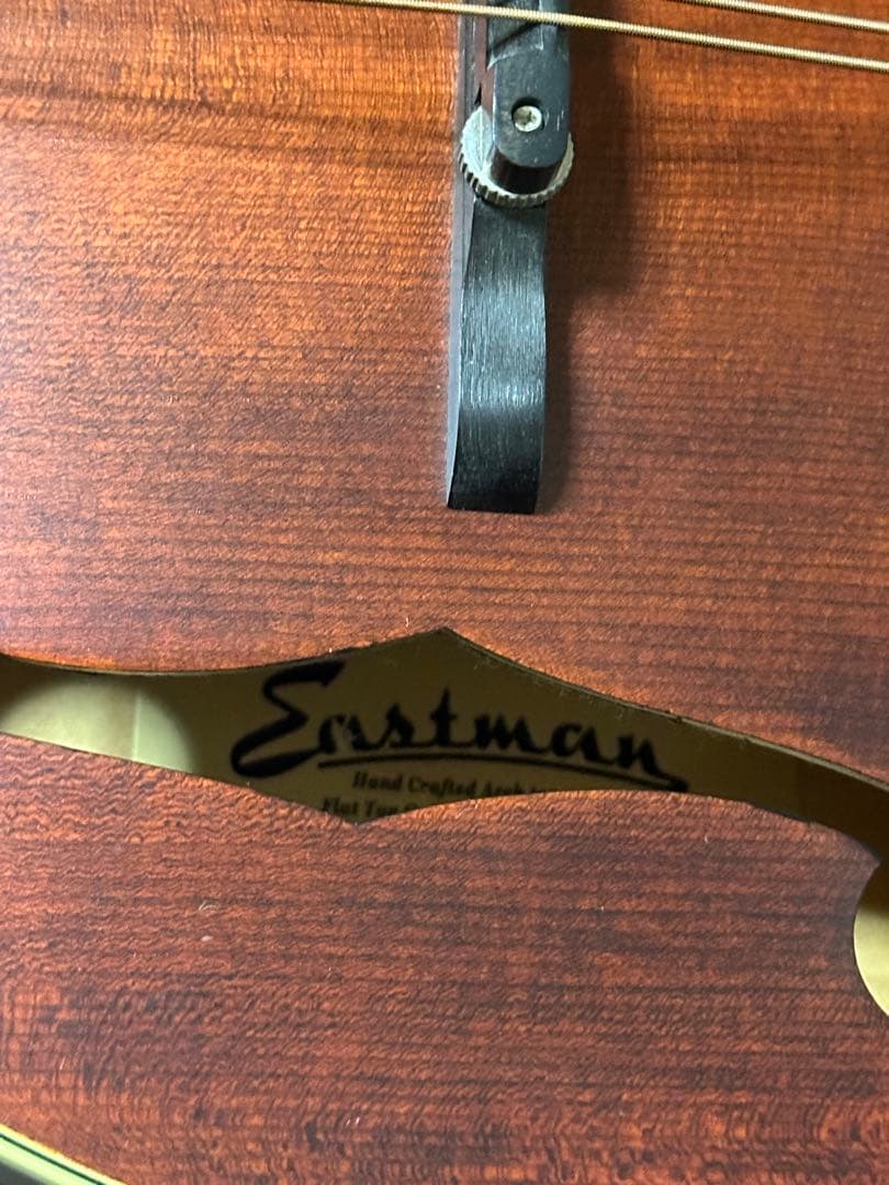 弦楽器 Eastman MD315/Antique Red