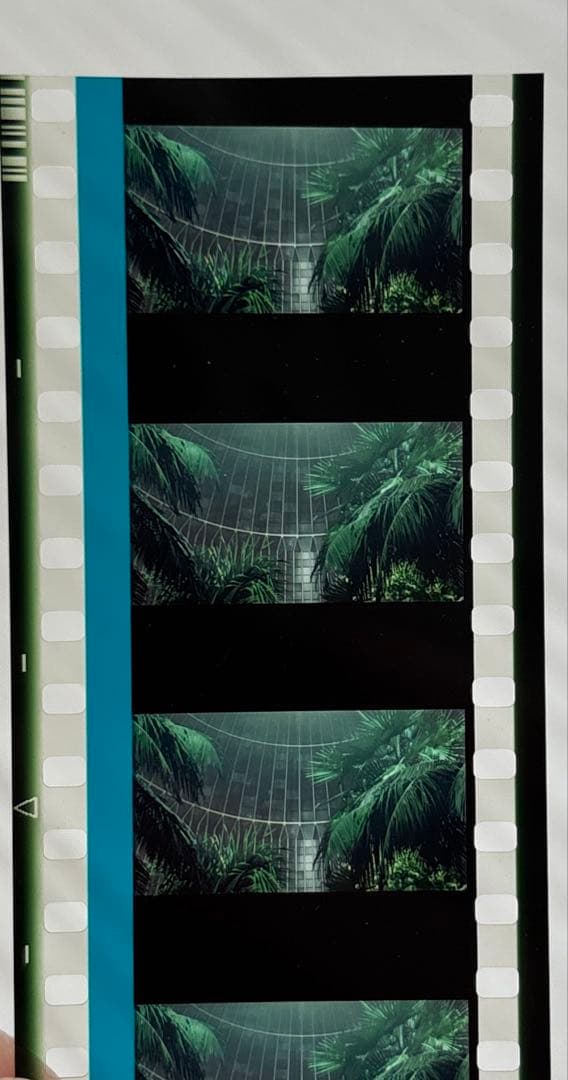 映画 パプリカ 4Kリマスター版 リバイバル上映 入場者特典 生フィル 6枚