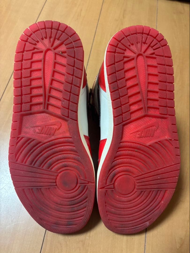 エアージョーダンスパイダー