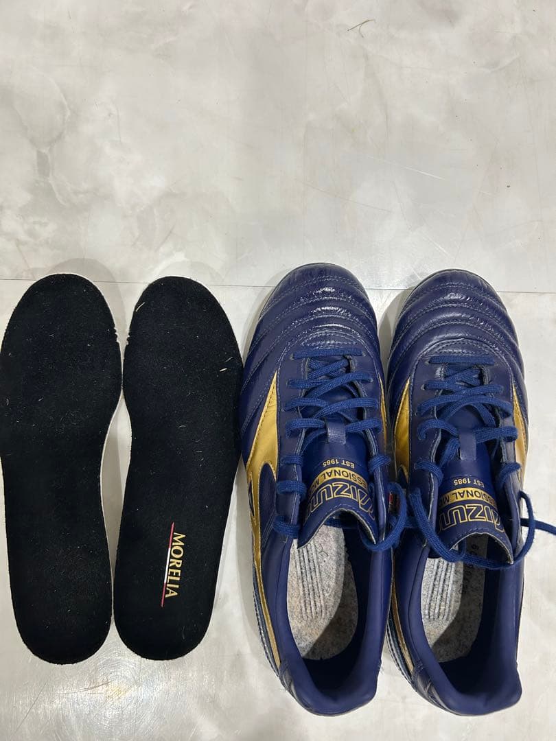 【海外限定カラー】ミズノモレリアⅡ Mizuno Morelia 日本刺繍入