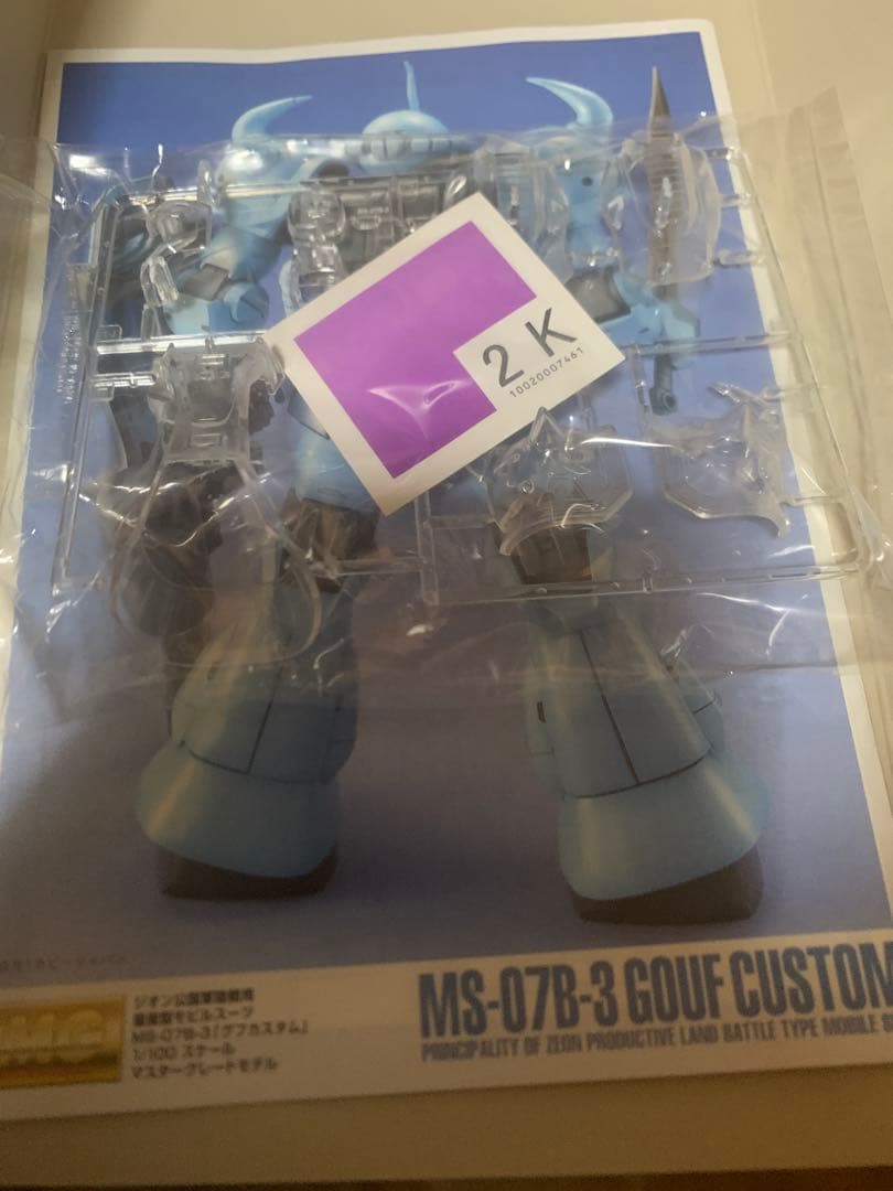 MGグフカスタム1/100 ガンプラ30周年記念コレクター向け