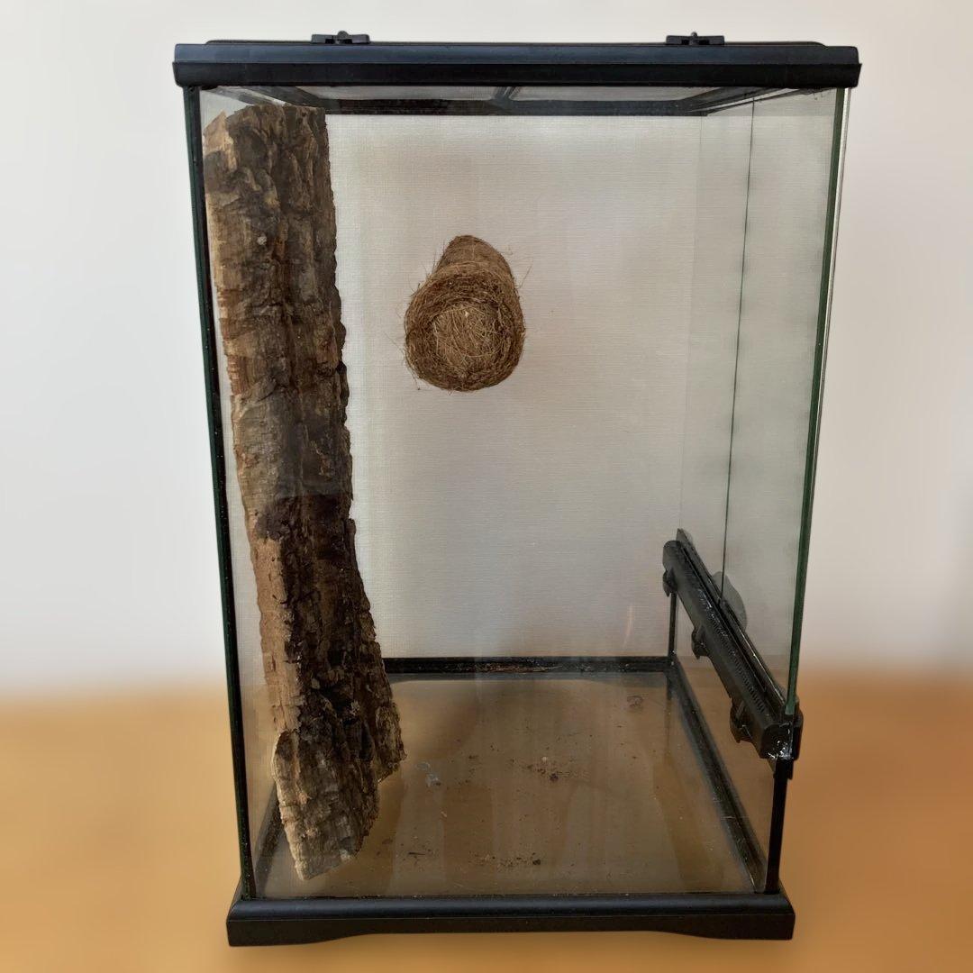 エキゾテラ　GEX　グラテラ3045 中古