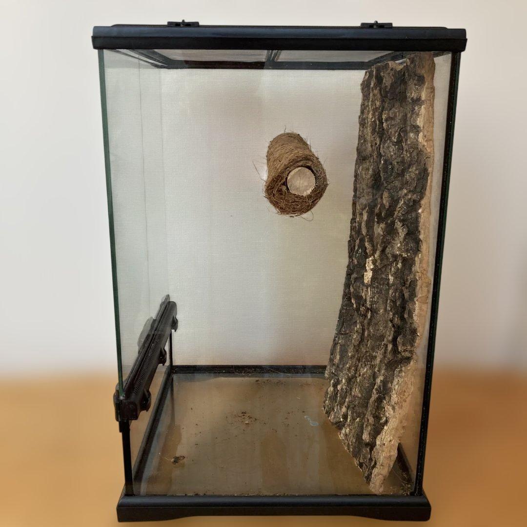 エキゾテラ　GEX　グラテラ3045 中古