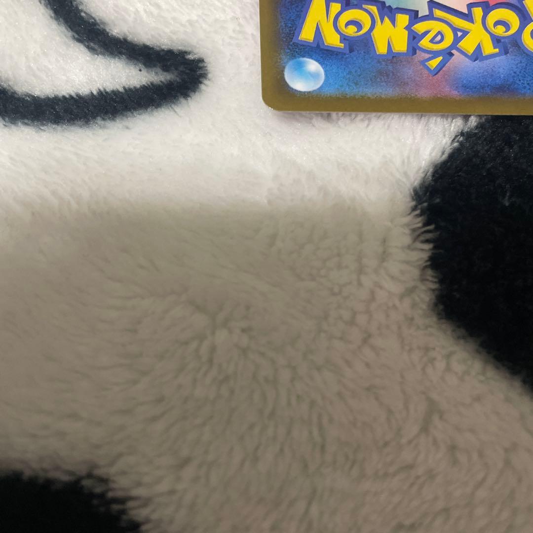 ニンフィアex sar テラスタルフェス