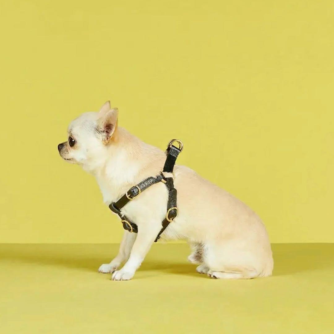 新品 グッチ インターロッキングG ドッグ ハーネス ペット用 散歩 Sサイズ