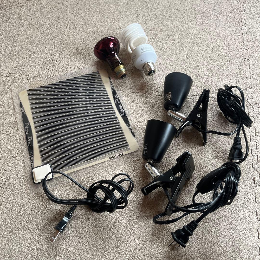 爬虫類　飼育セット　フードおまけ付き