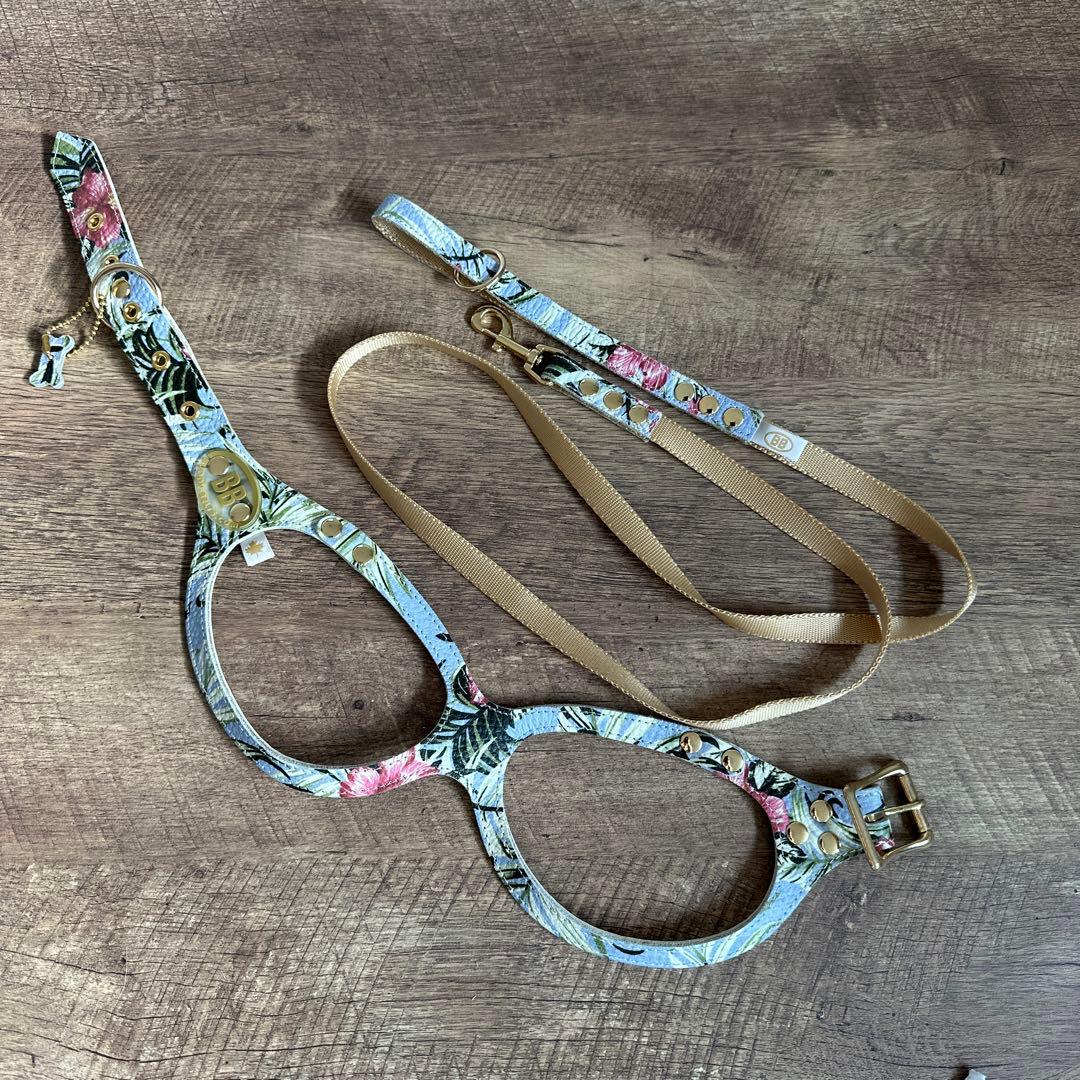 バディベルト　 BB バハマ 5号　 アクセントリード