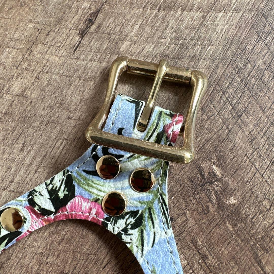 バディベルト　 BB バハマ 5号　 アクセントリード